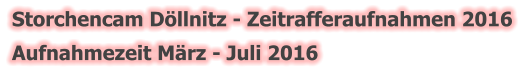 Storchencam Döllnitz - Zeitrafferaufnahmen 2016 Aufnahmezeit März - Juli 2016