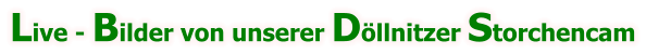 Live - Bilder von unserer Döllnitzer Storchencam